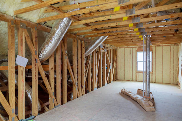 Best Specialized Insulation Services in Louise, TX