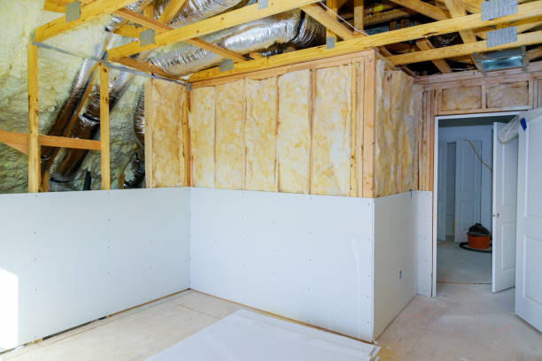 Best Insulation Maintenance and Repair in Louise, TX