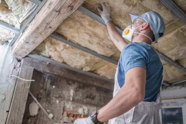Best Eco-Friendly Insulation in Louise, TX