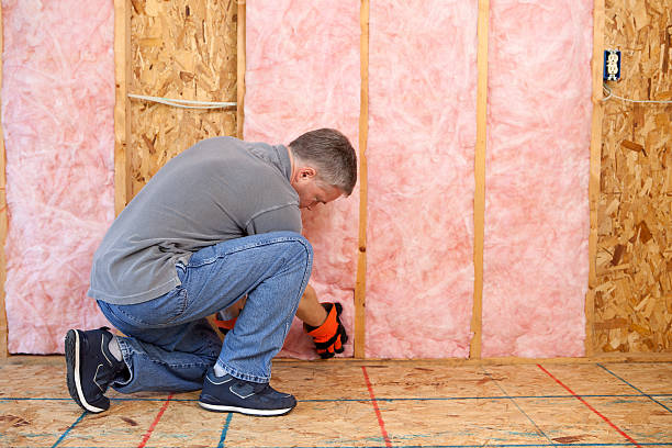 Best Commercial Insulation in Louise, TX