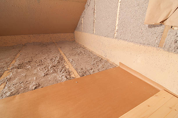 Trusted Louise, TX Insulation Contractor Experts