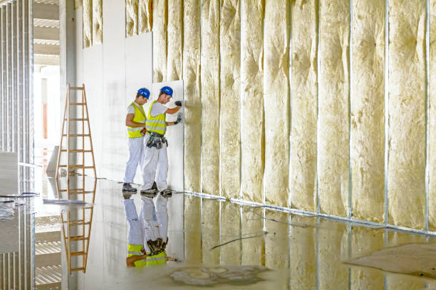 Types of Insulation We Offer in Louise, TX